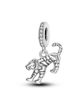 Charm Rivy Tigre 2